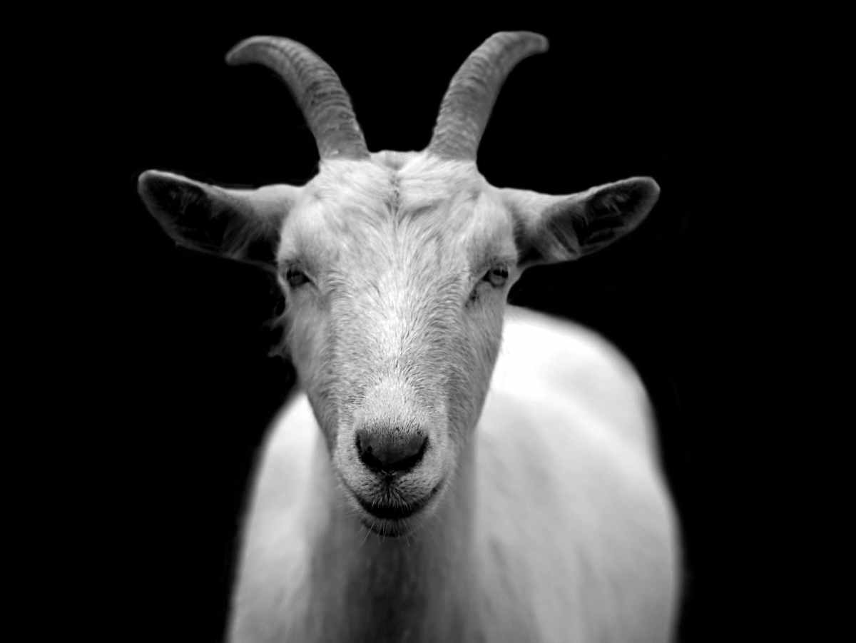 Chief Incident Scapegoat Officer (CISO)?